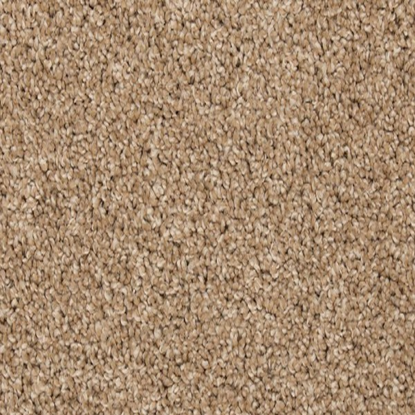 Reactive Carpet Toffee Cream